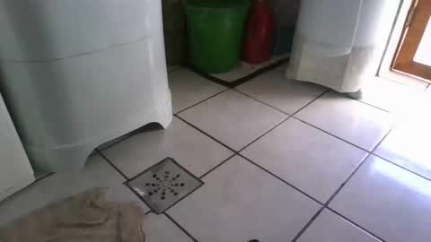 kelly online show from 03/07/25, 09:27