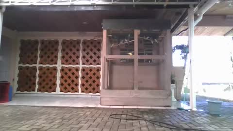 kelly online show from 01/05/26, 06:22