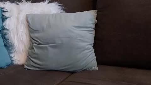 Snapshot of lazlow2000 chatting on 01/07/26, 07:44 lazlow2000 online show from 01/07/26, 07:44