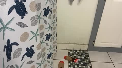 Snapshot of lazyladypug425146 chatting on 12/15/25, 05:17 lazyladypug425146 online show from 12/15/25, 05:17