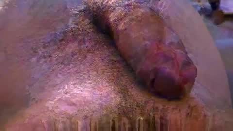 lb_38 online show from 11/04/25, 09:47