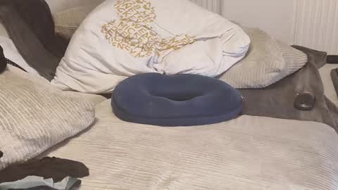 Geilomatte online show from 10/03/25, 08:06