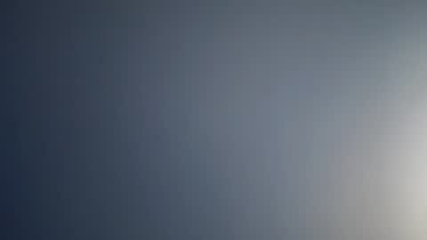 Snapshot of lechiffre1205 chatting on 02/28/25, 11:36 Michel online show from 02/28/25, 11:36