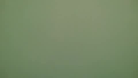 Michel online show from 11/28/25, 06:32