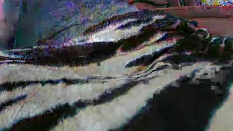 Snapshot of ledmax07 chatting on 04/13/26, 01:22 ledmax07 online show from 04/13/26, 01:22