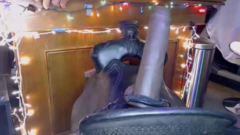 Lee Cox online show from 11/08/25, 03:23