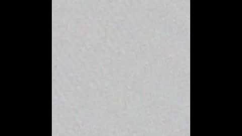 leejhonsonnn online show from 11/11/25, 11:32