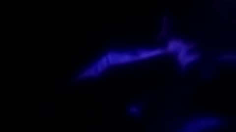 Michael online show from 09/30/25, 09:14