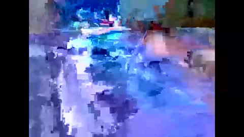 Michael online show from 12/04/25, 07:39