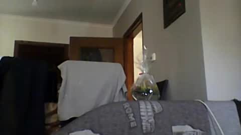 lelshop online show from 12/08/24, 09:57