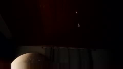 lelshop online show from 02/25/26, 08:51