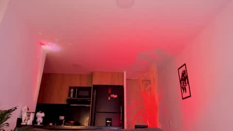Snapshot of lennercollins_ chatting on 02/22/25, 01:55 Lenner INDEPENDENT MODEL online show from 02/22/25, 01:55