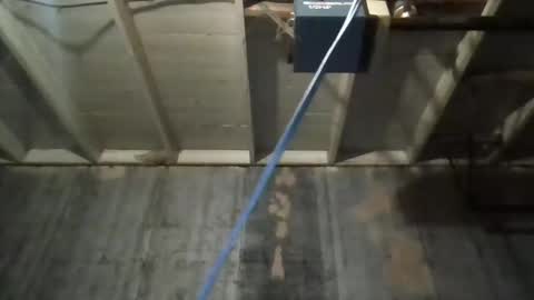 Snapshot of leo199984 chatting on 11/25/25, 03:39 leo199984 online show from 11/25/25, 03:39