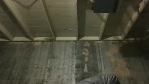 Snapshot of leo199984 chatting on 12/19/25, 03:24 leo199984 online show from 12/19/25, 03:24