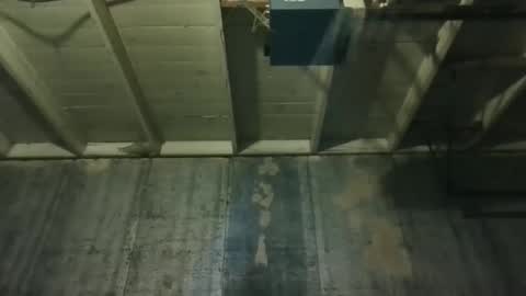 Snapshot of leo199984 chatting on 03/25/26, 02:39 leo199984 online show from 03/25/26, 02:39