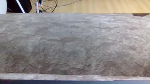 leopardking02 online show from 12/16/25, 08:08