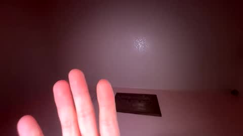 Snapshot of lesane_lisa chatting on 03/08/26, 12:20 Lesane lisa online show from 03/08/26, 12:20