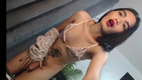 Trisha18 online show from 03/01/25, 05:42