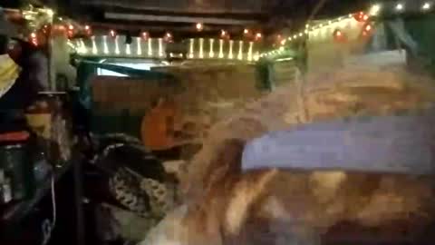 LesleyGumGrass- The Boring Trans girl online show from 07/23/26, 10:40