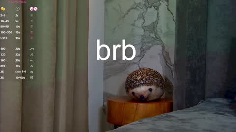 Leslie online show from 01/14/25, 08:31