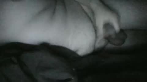 Rayne online show from 12/25/24, 06:52