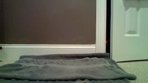 Snapshot of lets_orgasm_ chatting on 01/27/25, 12:54 Lets Orgasm online show from 01/27/25, 12:54