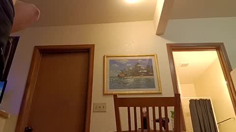 letsplay361 online show from 03/08/25, 01:47