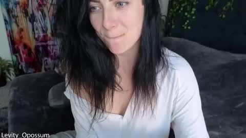 Snapshot of levity_opossum chatting on 01/16/26, 07:40 Levity online show from 01/16/26, 07:40