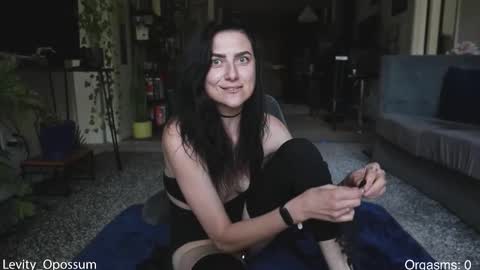 Snapshot of levity_opossum chatting on 03/04/26, 08:04 Levity online show from 03/04/26, 08:04