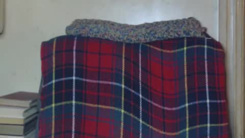 Snapshot of levon48 chatting on 12/19/24, 01:28 levon48 online show from 12/19/24, 01:28