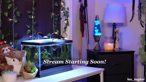 Lex online show from 01/07/25, 03:46