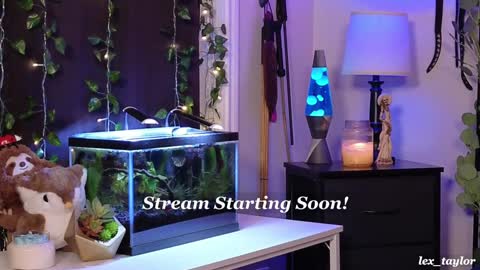 Lex online show from 01/09/25, 03:04