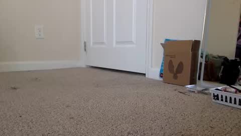 Alexia L. online show from 11/19/25, 04:40