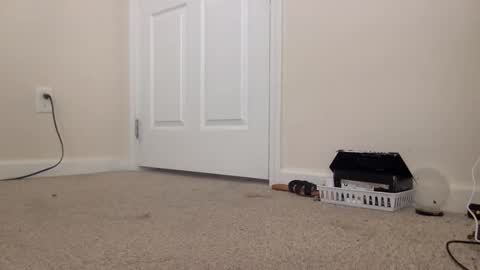 Snapshot of lexiial0 chatting on 02/24/26, 04:38 Alexia L. online show from 02/24/26, 04:38