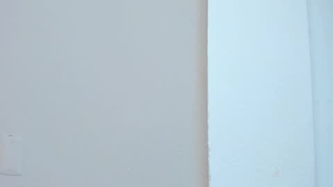 Liss 3 online show from 11/04/25, 10:25