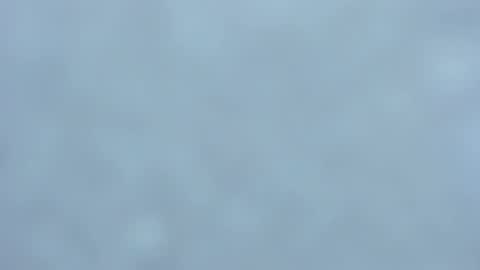 . online show from 02/01/25, 03:52