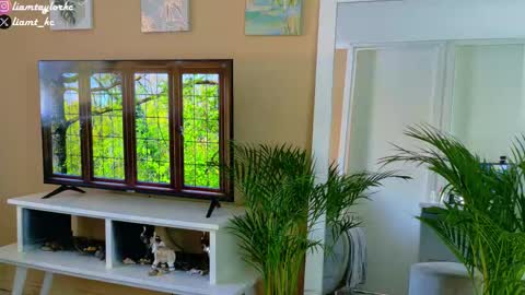 Tell me Liam online show from 12/17/25, 09:32