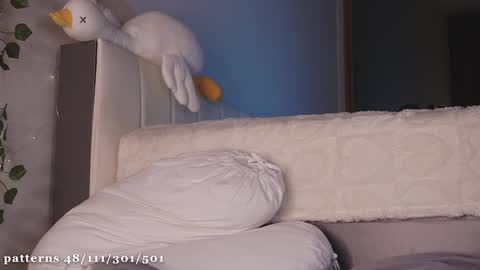 Molly  you can find Bunny here --  online show from 01/14/25, 04:50