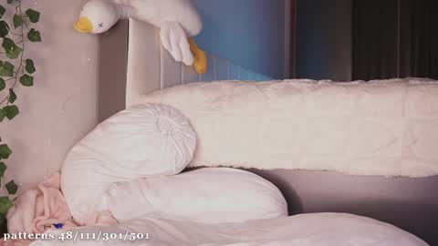 Molly  you can find Bunny here --  online show from 02/12/25, 08:07