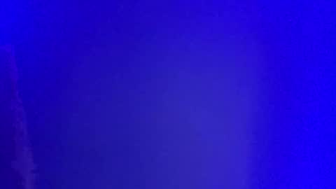 LickYourYoni online show from 01/01/25, 02:52