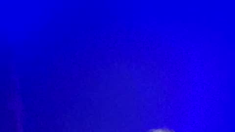 LickYourYoni online show from 01/13/25, 02:21