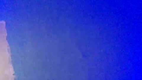 LickYourYoni online show from 02/22/25, 03:36