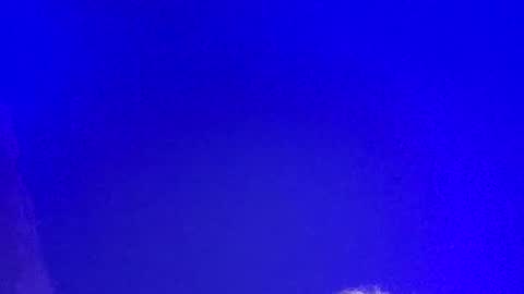 LickYourYoni online show from 03/03/25, 02:48