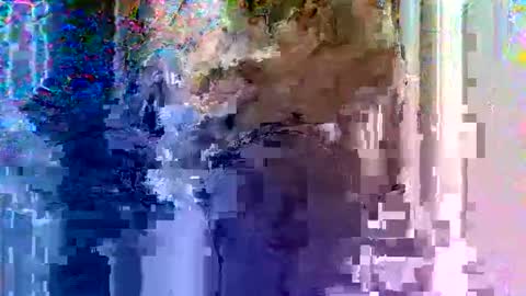 Light Mage online show from 02/18/26, 07:59