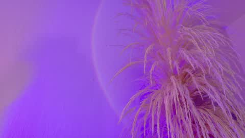 Liiam Luna online show from 03/31/26, 09:10