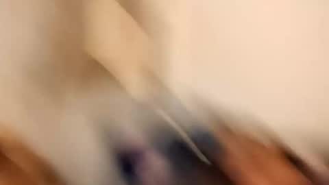 likdatass69247 online show from 12/28/24, 06:28