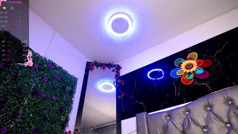   online show from 12/24/24, 10:44