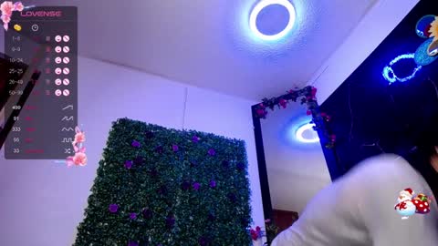   online show from 12/28/24, 01:38