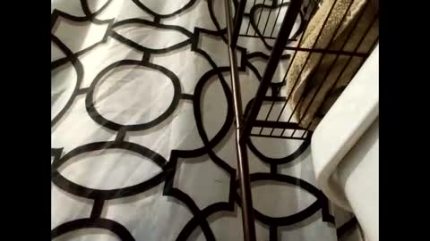 lilcalvo1 online show from 03/18/26, 09:34