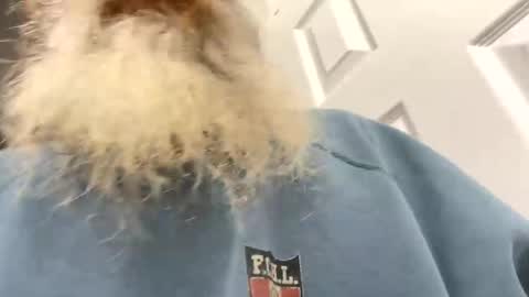 Snapshot of lilchaps69 chatting on 02/04/26, 05:46 lilchaps69 online show from 02/04/26, 05:46